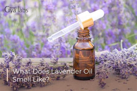 what does lavender oil smell like.